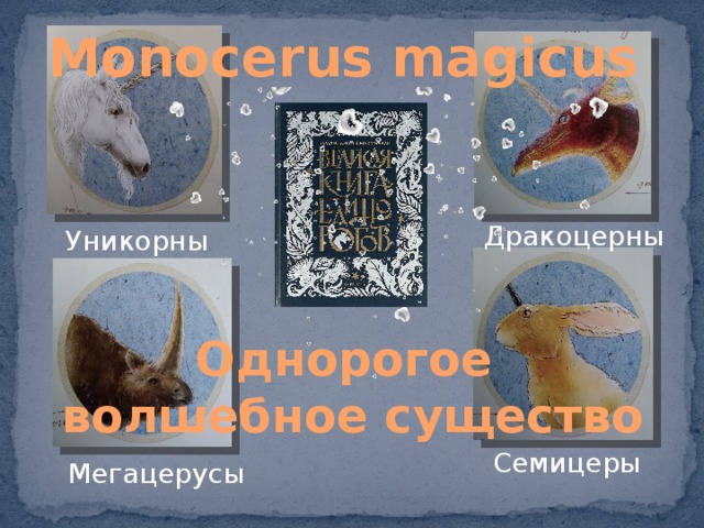 Monocerus magicus Дракоцерны Уникорны Однорогое волшебное существо Семицеры Мегацерусы