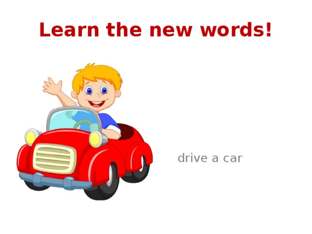 Learn the new words!  drive a car 