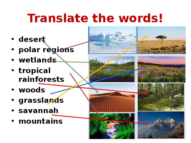Translate the words! desert polar regions wetlands tropical rainforests woods grasslands savannah mountains 