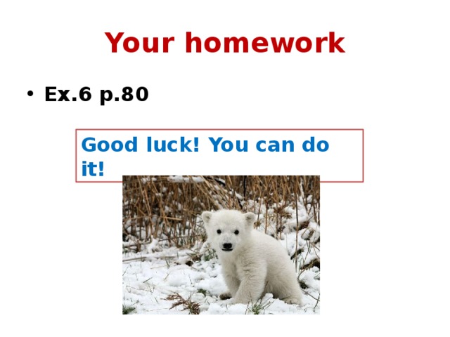 Your homework Ex.6 p.80 Good luck! You can do it! 