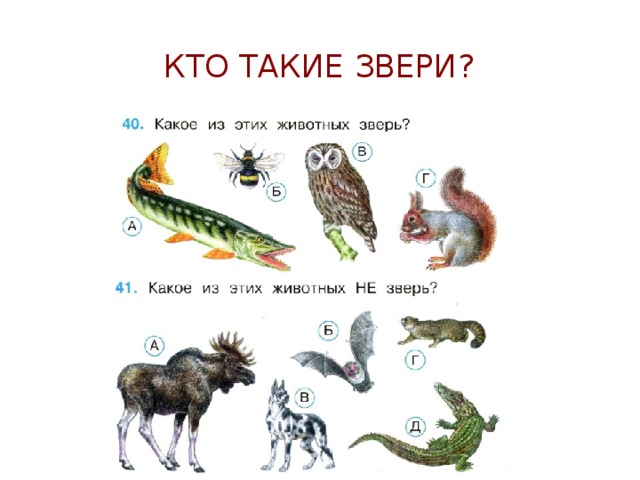 Кто такие звери технологическая карта урока - 83 фото