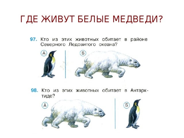 Обведи лишний рисунок в каждом ряду окружающий мир 1 класс белые медведи