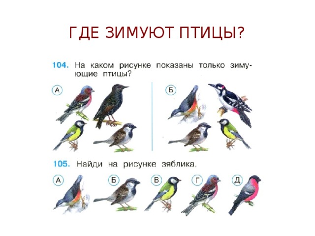 Технологическая карта урока по окружающему миру 1 класс где зимуют птицы