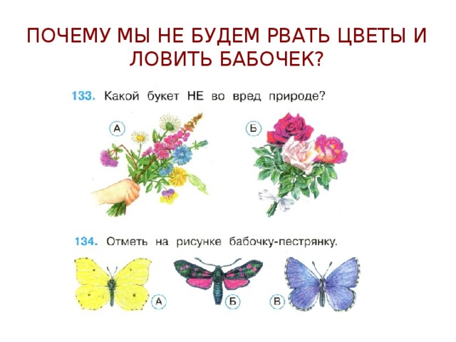 Окружающий мир 2 класс рабочая тетрадь бабочки. Почему мы будем рвать цветы и ловить бабочек. Почему мы не будем рвать цветы и ловить бабочек. Почему мы не будем рвать цветы. Задания почему мы не будем рвать цветы.