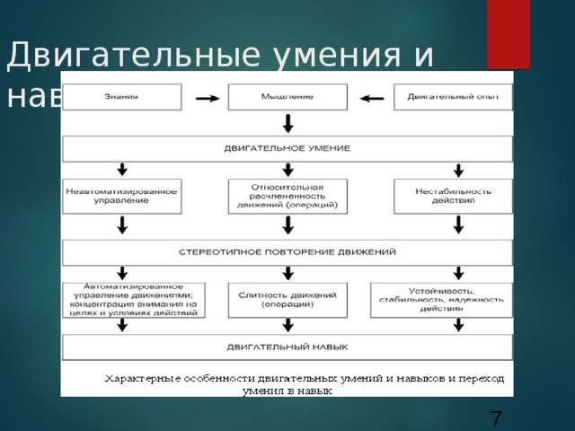 Процесс формирования двигательного умения. Двигательные умения и навыки. Схема формирования двигательного навыка. Двигательное умение это. Двигательные навыки примеры.