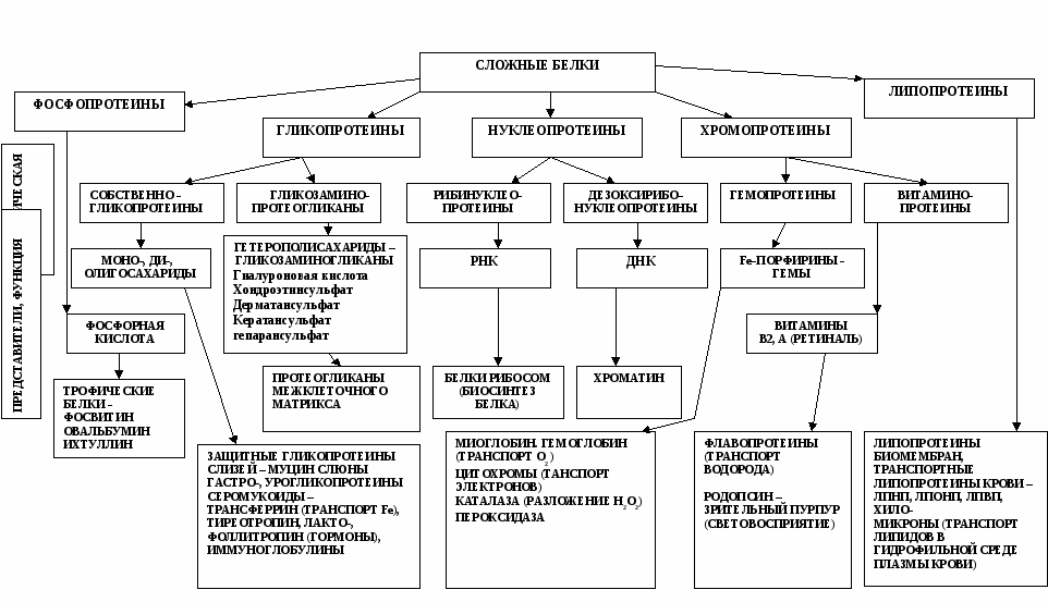 Классификация клизм схема