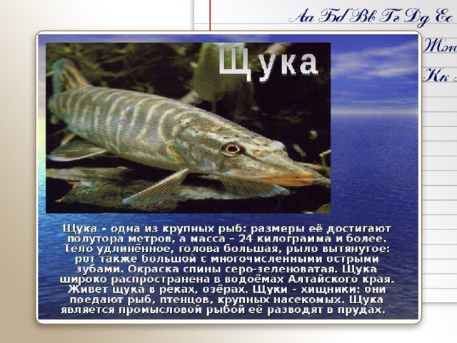 Проект про рыб 3 класс Презентация "Азбука Челябинской области".