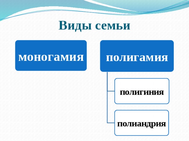Виды семьи моногамия полигамия полигиния полиандрия 