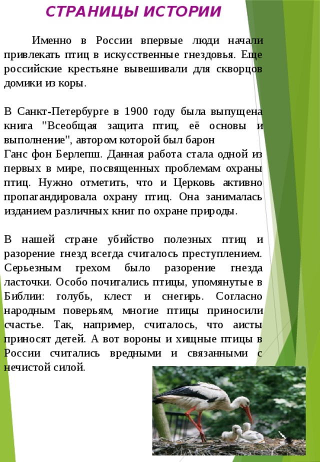 Пресс релиз день птиц. Международный день птиц папка передвижка для детского сада. Консультация 1 апреля день птиц. Консультация день птиц для родителей. Международный день птиц консультация для родителей.