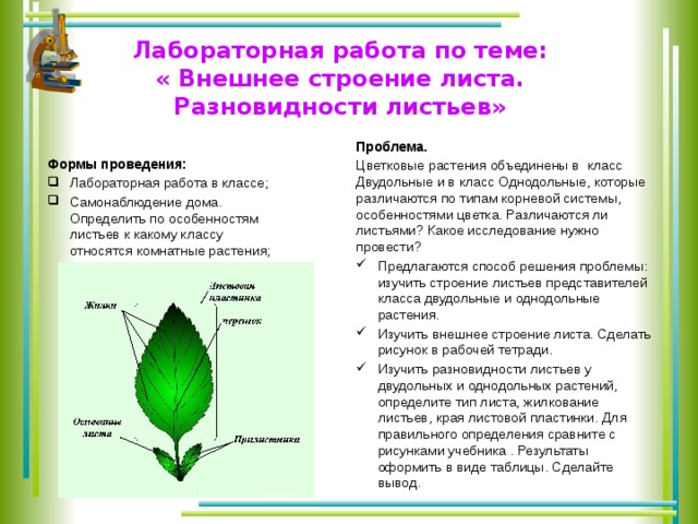 Лабораторная работа 1 строение