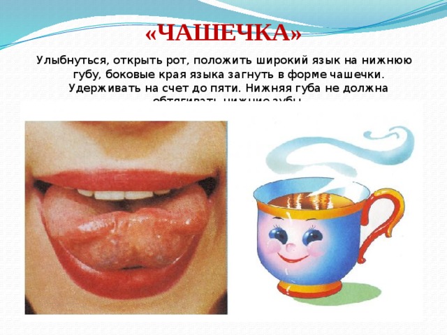 «ЧАШЕЧКА»  Улыбнуться, открыть рот, положить широкий язык на нижнюю губу, боковые края языка загнуть в форме чашечки. Удерживать на счет до пяти. Нижняя губа не должна обтягивать нижние зубы. 