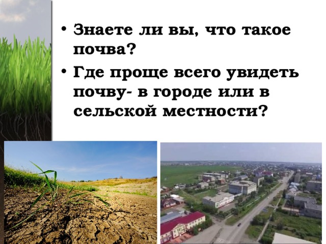 Знаете ли вы, что такое почва? Где проще всего увидеть почву- в городе или в сельской местности? 