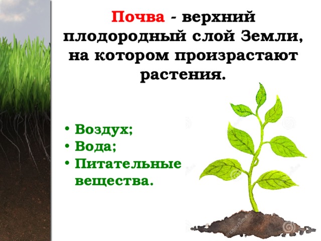 Почва - верхний плодородный слой Земли, на котором произрастают растения. Воздух; Вода; Питательные вещества. 