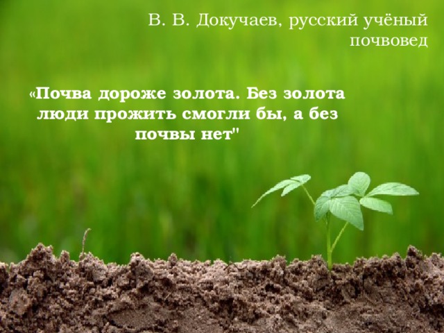 В. В. Докучаев, русский учёный почвовед «Почва дороже золота. Без золота люди прожить смогли бы, а без почвы нет