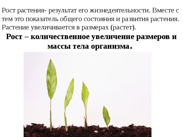 В чем заключается значение процесса роста человека. Рост и развитие растений. Процесс развития растений. Рост растений. Ьос т и развитие растений.
