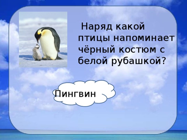  Наряд какой птицы напоминает чёрный костюм с белой рубашкой? Пингвин 