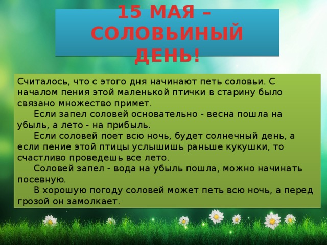 Примета соловей поет. День соловья 15 мая. 15 Мая Соловьиный праздник картинки. Соловей запел так дивно что. Описание слова соловью соловью.