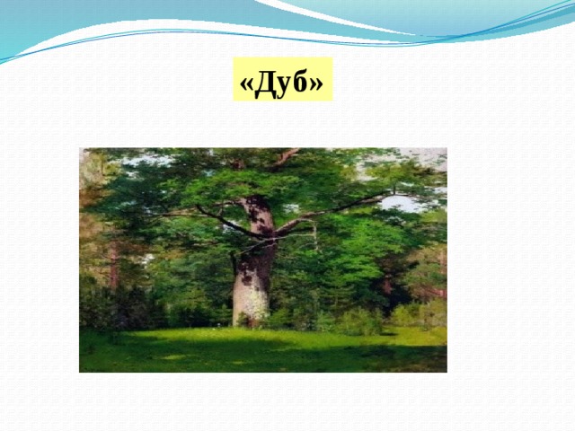 «Дуб» 