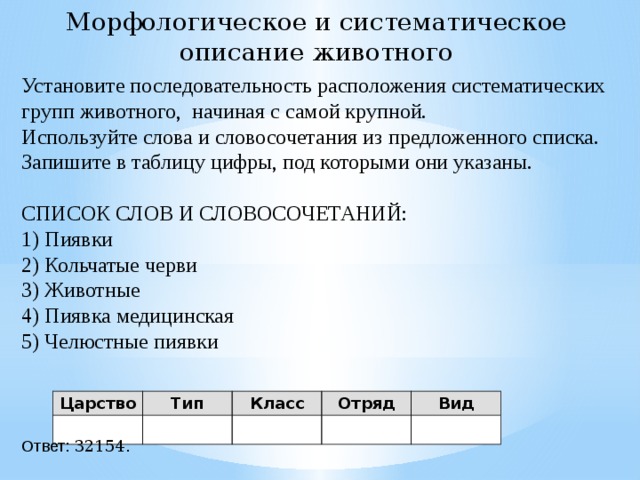 Расположите таксономические группы. Последовательность расположения систематических групп. Установите последовательность систематических групп. Последовательность расположения систематических групп животных. Установите последовательность расположения.