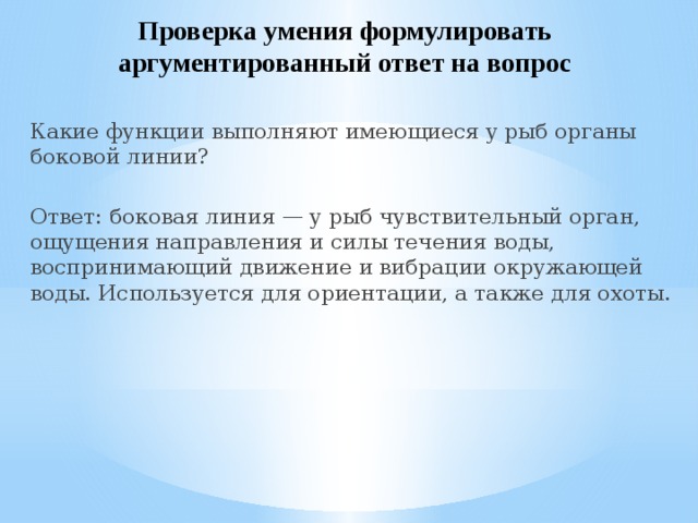 Какие общие функциональные проверки выполняют для всего приложения