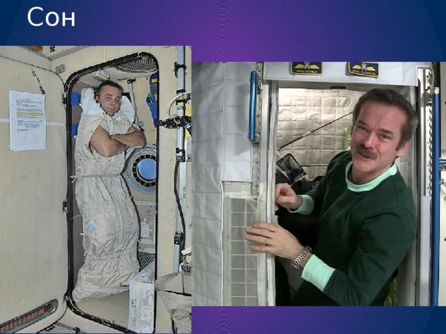 Сон 