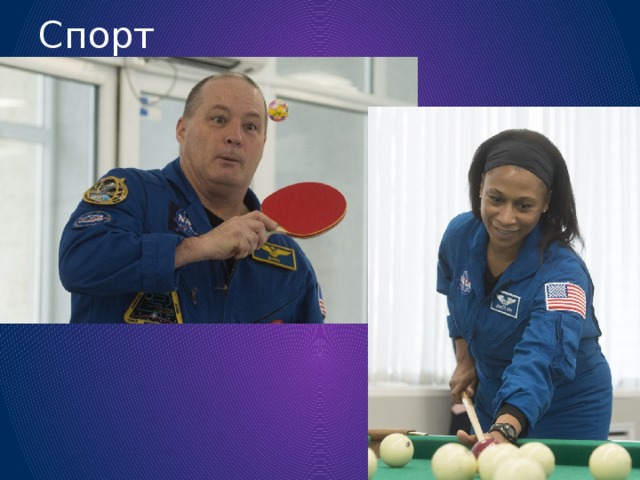 Спорт 