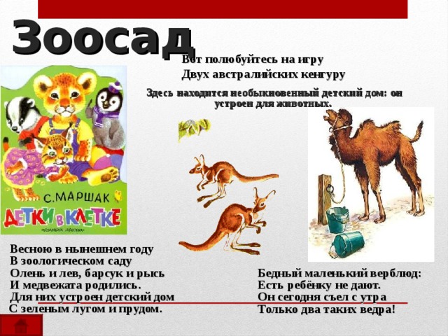 Зоосад  Здесь находится необыкновенный детский дом: он устроен для животных. Вот полюбуйтесь на игру Двух австралийских кенгуру  Весною в нынешнем году  В зоологическом саду  Олень и лев, барсук и рысь  И медвежата родились.  Для них устроен детский дом  С зеленым лугом и прудом. Бедный маленький верблюд: Есть ребёнку не дают. Он сегодня съел с утра Только два таких ведра! 