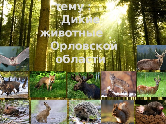  Виртуальная экскурсия на тему :  Дикие животные  Орловской  области 