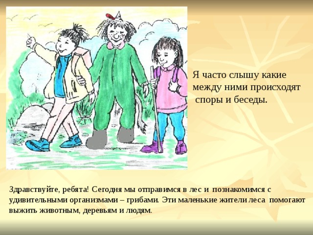 Я часто слышу какие между ними происходят  споры и беседы. Здравствуйте, ребята! Сегодня мы отправимся в лес и познакомимся с удивительными организмами – грибами. Эти маленькие жители леса помогают выжить животным, деревьям и людям. 