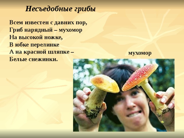 Несъедобные грибы Всем известен с давних пор, Гриб нарядный – мухомор На высокой ножке, В юбке перелинке А на красной шляпке – Белые снежинки. мухомор 