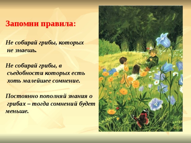 Запомни правила: Не собирай грибы, которых  не знаешь.  Не собирай грибы, в  съедобности которых есть  хоть малейшее сомнение.  Постоянно пополняй знания о  грибах – тогда сомнений будет меньше. 