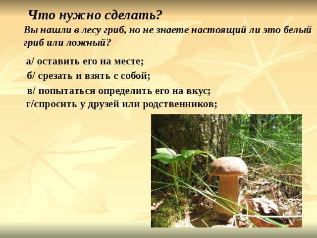  Что нужно сделать? Вы нашли в лесу гриб, но не знаете настоящий ли это белый гриб или ложный? а / оставить его на месте;  б / срезать и взять с собой;  в / попытаться определить его на вкус; г / спросить у друзей или родственников; 