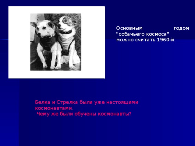 Основным годом 