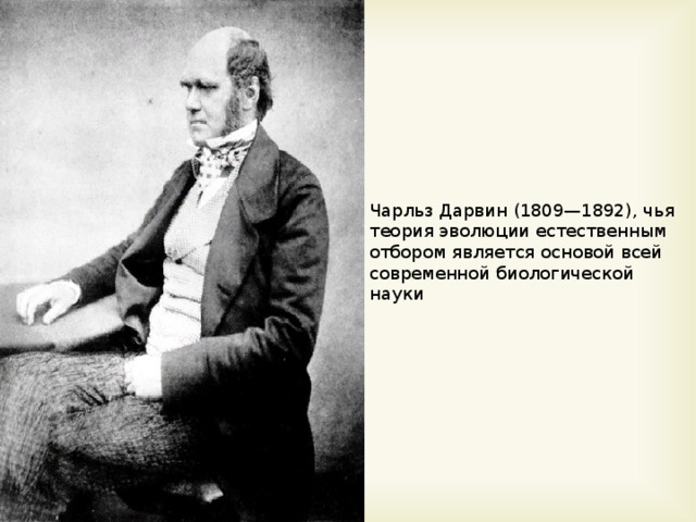 Чарльз Дарвин (1809—1892), чья теория эволюции естественным отбором является основой всей современной биологической науки 