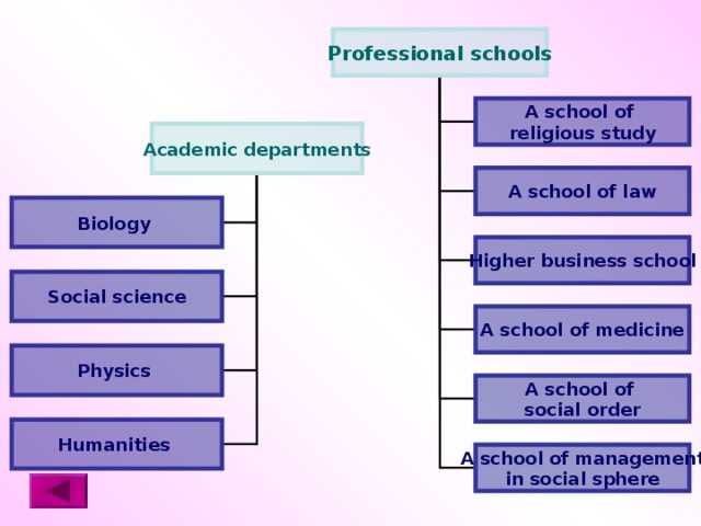 Professional schools A school of religious study Academic departments A school of law Biology Higher business school Social science A school of medicine Physics A school of social order Humanities A school of management in social sphere 