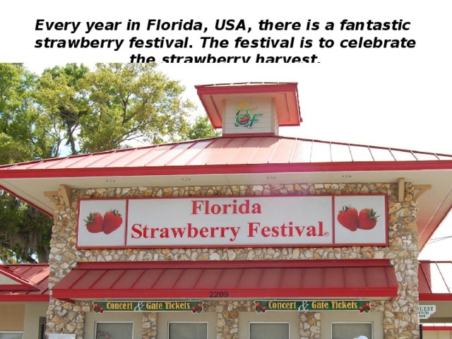 Every year in Florida, USA, there is a fantastic strawberry festival. The festival is to celebrate the strawberry harvest. 