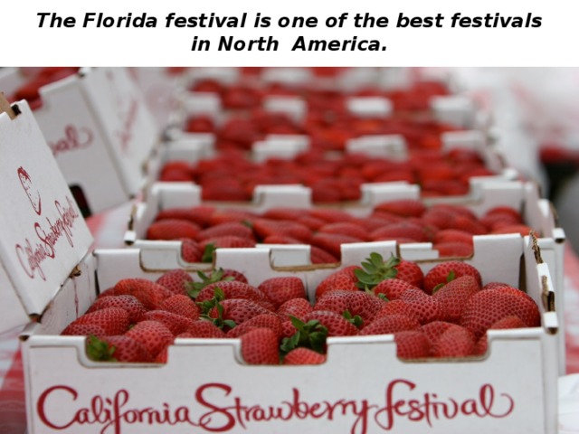 The Florida festival is one of the best festivals in North America. 