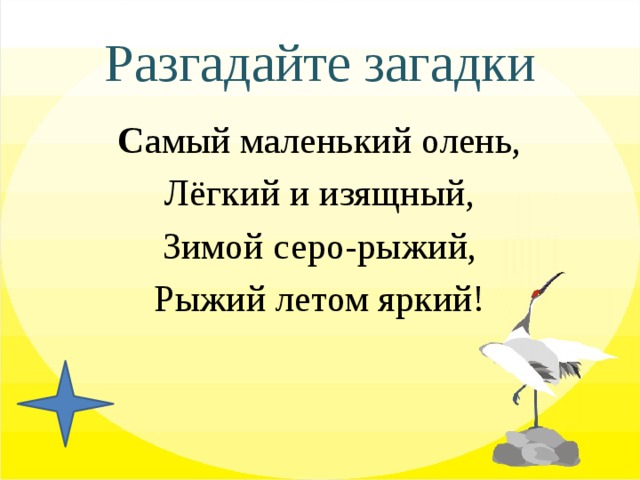 Разгадайте загадки С амый маленький олень, Лёгкий и изящный, Зимой серо-рыжий, Рыжий летом яркий! 
