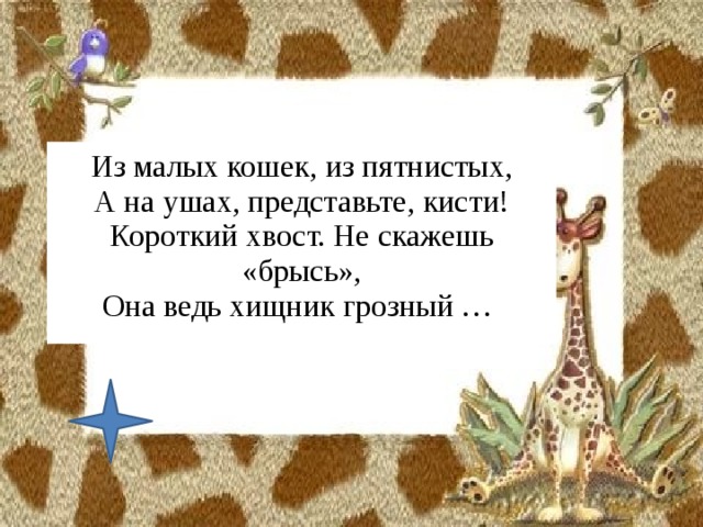 Из малых кошек, из пятнистых,  А на ушах, представьте, кисти!  Короткий хвост. Не скажешь «брысь»,  Она ведь хищник грозный …   