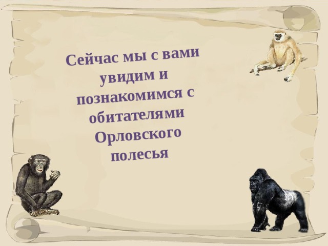 Сейчас мы с вами увидим и познакомимся с обитателями Орловского полесья 