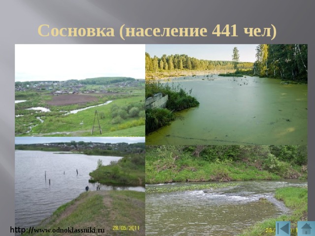 Сосновка (население 441 чел) http:// www.odnoklassniki.ru 