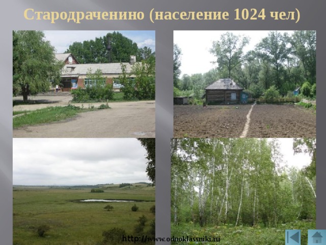 Стародраченино (население 1024 чел) http:// www.odnoklassniki.ru 