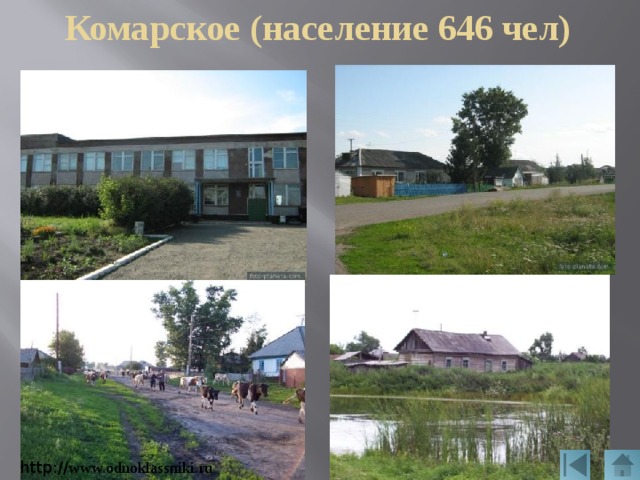 Комарское (население 646 чел) http:// www.odnoklassniki.ru 