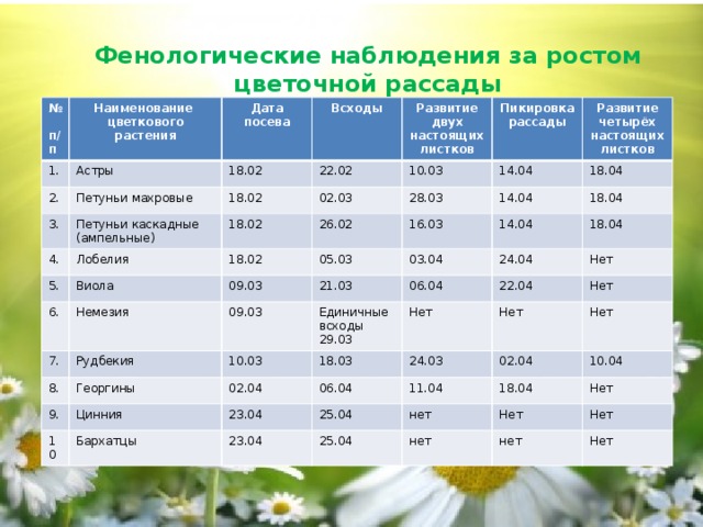 Фенологический дневник по биологии 5 класс образец