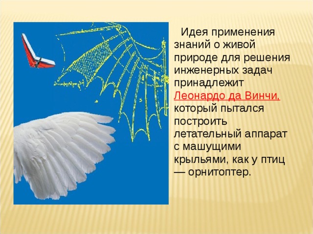  Идея применения знаний о живой природе для решения инженерных задач принадлежит Леонардо да Винчи, который пытался построить летательный аппарат с машущими крыльями, как у птиц — орнитоптер. 