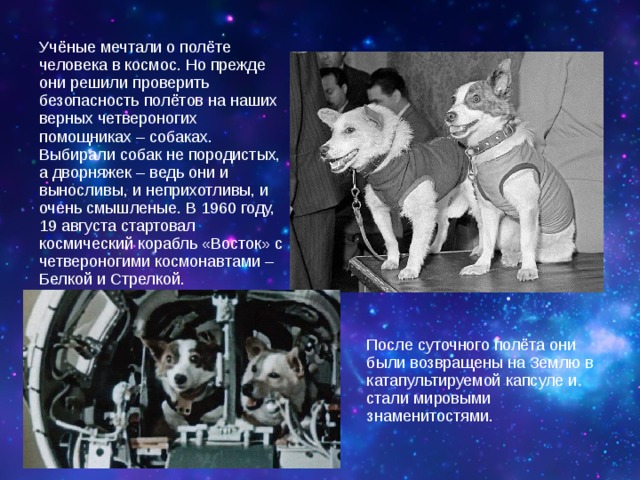 Учёные мечтали о полёте человека в космос. Но прежде они решили проверить безопасность полётов на наших верных четвероногих помощниках – собаках. Выбирали собак не породистых, а дворняжек – ведь они и выносливы, и неприхотливы, и очень смышленые. В 1960 году, 19 августа стартовал космический корабль «Восток» с четвероногими космонавтами – Белкой и Стрелкой. После суточного полёта они были возвращены на Землю в катапультируемой капсуле и стали мировыми знаменитостями. 