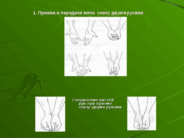 1. Приема и передачи мяча снизу двумя руками  Соединение кистей рук при приеме снизу двумя руками  