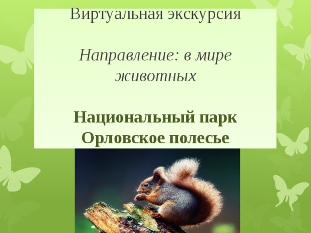 Виртуальная экскурсия   Направление: в мире животных   Национальный парк Орловское полесье 
