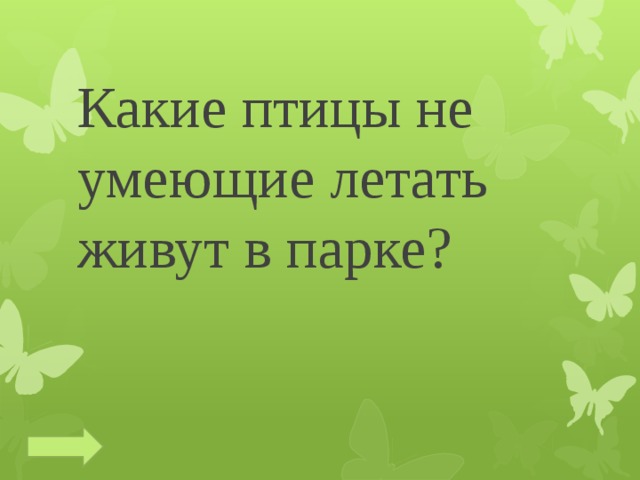 Какие птицы не умеющие летать живут в парке? 