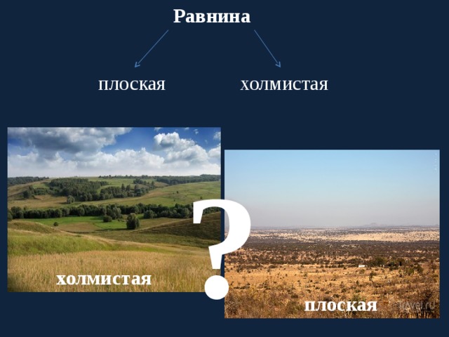 Равнина плоская холмистая ? холмистая плоская 